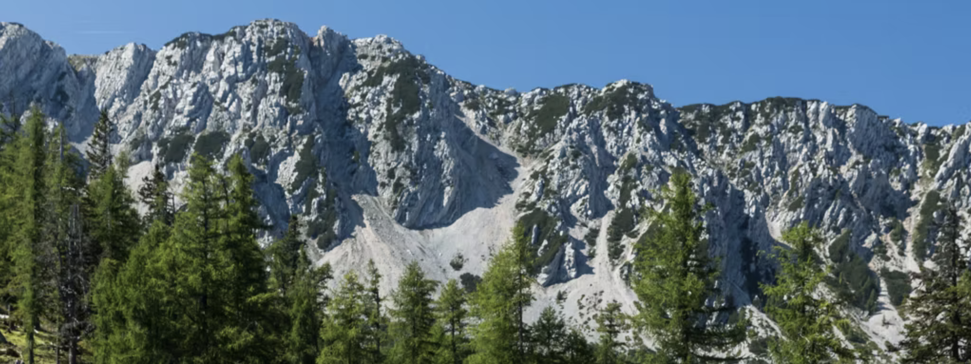 Elky natürlich Elky natürlich