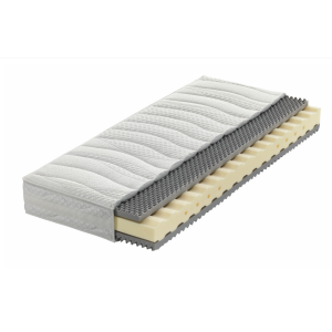 PAUL LEVIN Wellcomfora 500