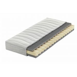 PAUL LEVIN Wellcomfora 500